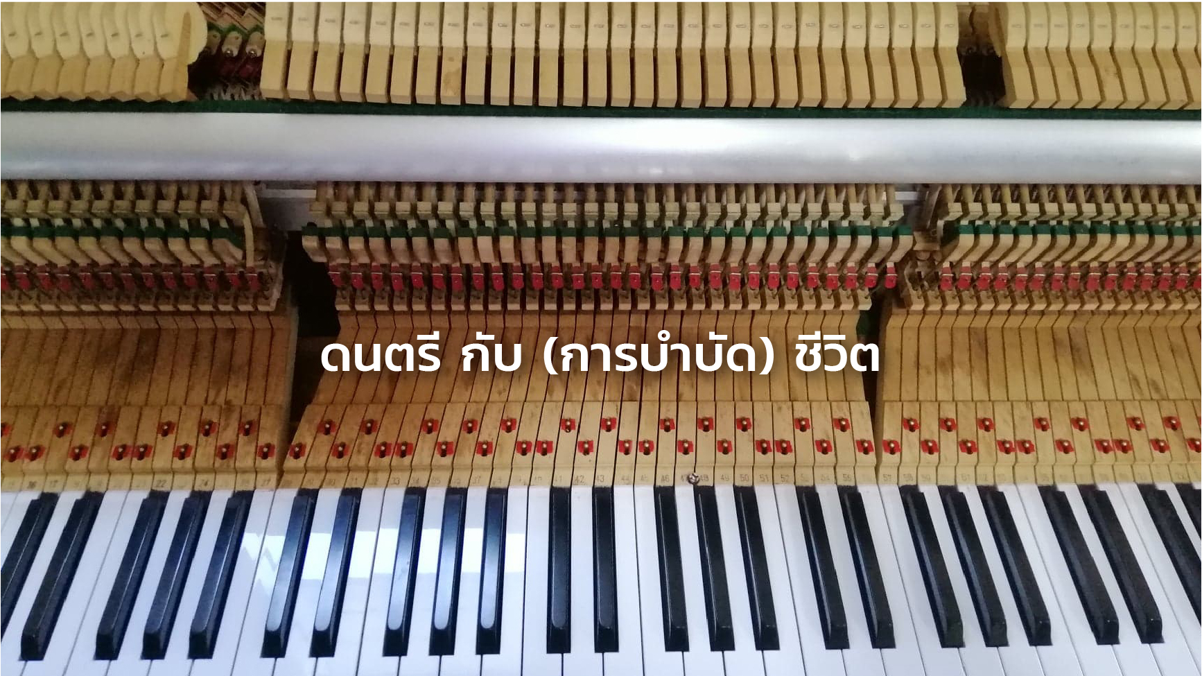 ดนตรี กับ (การบำบัด) ชีวิต