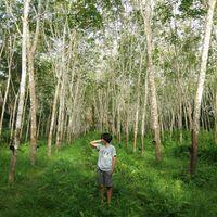 ชนากานต์