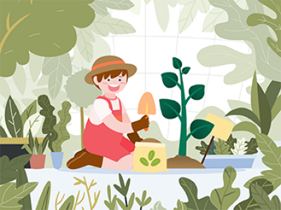 How To Build Your School Garden