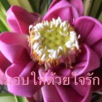 พรทิพย์ ฮวดอุปัต