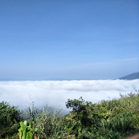 นางสาวรจนา