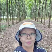 ถวิลวดี