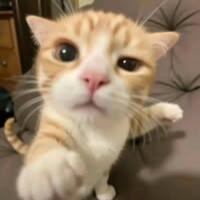 รณฤทธิ์