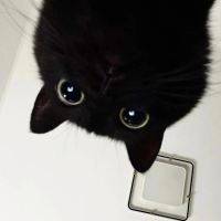 ด.ญ.ศิริยากรณ์