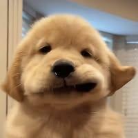 นางสาวพรรณวรท