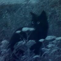 เด็กหญิงสุขพรรษา