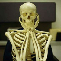 น.ส. ภัทรวดี