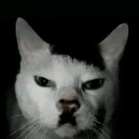 นางสาวณัฏฐนิภา