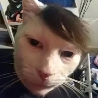 แก้วฟ้า