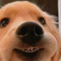 ณัฐติกา