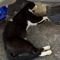 นายจิรวัฒน์