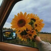 นางสาวนุมา