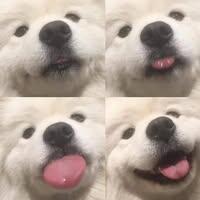 เด็กหญิง กวินทิพย์