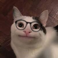 พุทธิ​ชา