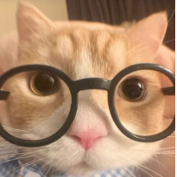 นางสาวนุสรา