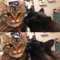 พลอยตะวัน