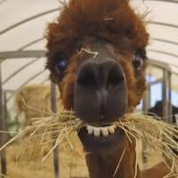 อิทธิพล ภู่ขาว