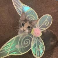 นางสาวนรารัตน์