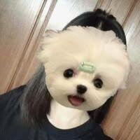 ศิรินภา